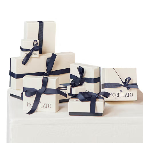 Penna a sfera - Morellato